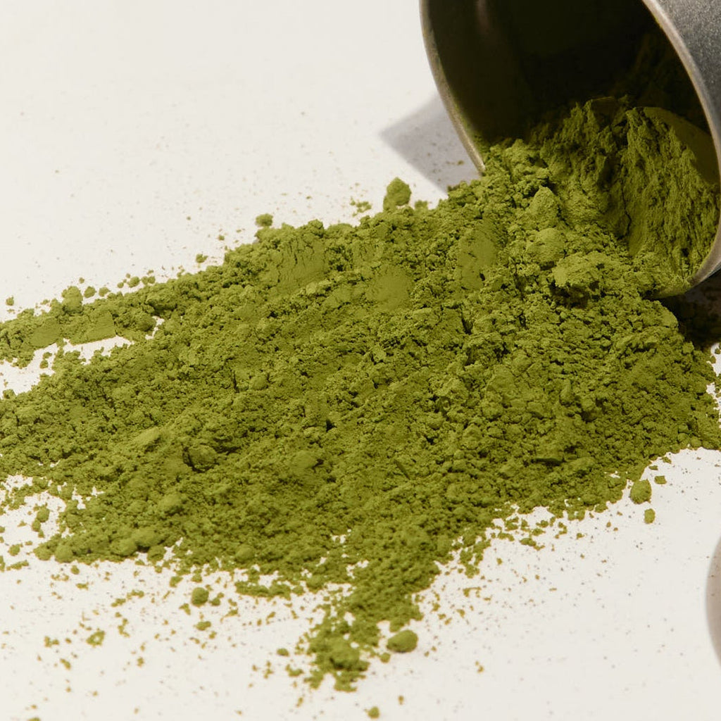 Match.D Organic Ceremonial Matcha 30g